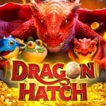 Serunya Main Dragon Hatch, Slot Online Hits dari PG Soft!